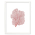 red sea fan white portrait frame